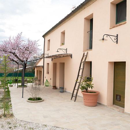 B&B Le Rondini Ostra Senigallia Casine  Exterior foto